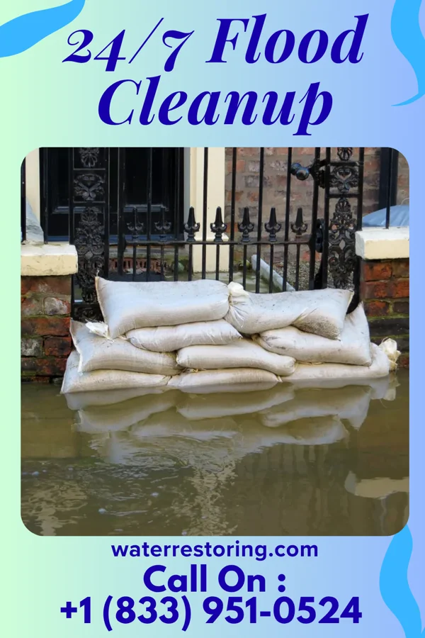 24/7 Flood Cleanup in Coleta, IL